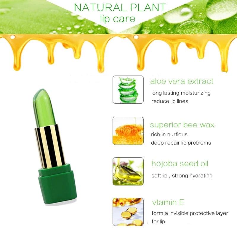 Aloe Vera Moisturizing Lip Balm - EverYouth Essentials